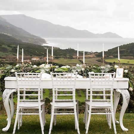 Villa Dama Luxury アルゲーロ エクステリア 写真